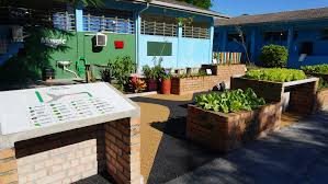 Unidade do “Horta Educa” é inaugurada na escola municipal Eva Cavani, em Paranaguá