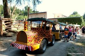 On the accompanying program of the zoo is possible to find workshops and other events for families with children, science lectures and exhibitions. Zoo Olomouc Svaty Kopecek Farmy Zoo Jizdy Na Konich