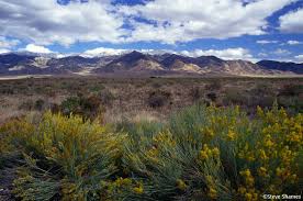 Check spelling or type a new query. Landscape Winnemucca Lake Tahoe Nevada Landscape Photos