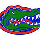 LSU Tigers at Florida Gators Football