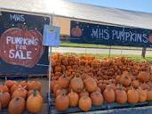 Pumpkin Prices In Falls Church: What To Expect In 2022 | Falls ...