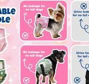 Amazon.com : Pet Soft Dog Diapers Female, Disposable Female ...