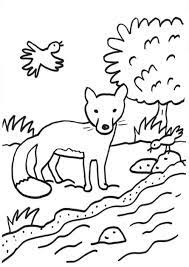 Fuchs ausmalbild & malvorlage (comics) / malvorlagen tiere fuchs kostenlos ausdrucken und ausmalen window color. Kostenlose Malvorlage Fuchse Fuchs Am Bach Zum Ausmalen