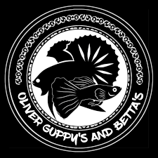 753 likes · 9 talking about this. Guppies And Betta Ormoc Home Facebook