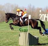Sharon White Eventing Clinic