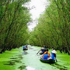 Rừng tràm trà sư được đánh giá là điểm tham quan thú vị và hấp dẫn nhất của mảnh đất an giang. Tour 01 Ngay Kham Pha An Giang Rá»«ng Tram Tra SÆ° áº¥n TÆ°á»£ng Mekong