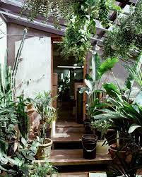 Houseplantaesthetic, a blog on tumblr. Plants Housep Jardines Decoraciones De Jardin Plantas Interiores