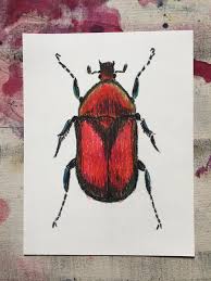 Black And White Striped Beetle Oil Pastel Beetle Drawing Red And Black Beetle Etsy In 2020 Beetle Drawing Original Hand Drawn Oil Pastel