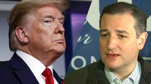 Don't listen to us. Listen to Ted Cruz.