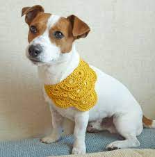 Crochet Dog Clothing Yellow Crochet Dog Bandana Dog Clothes Dog Costume Dog Fashion Dog Sweaters Diy Pet Costumes Dog Clothes Diy