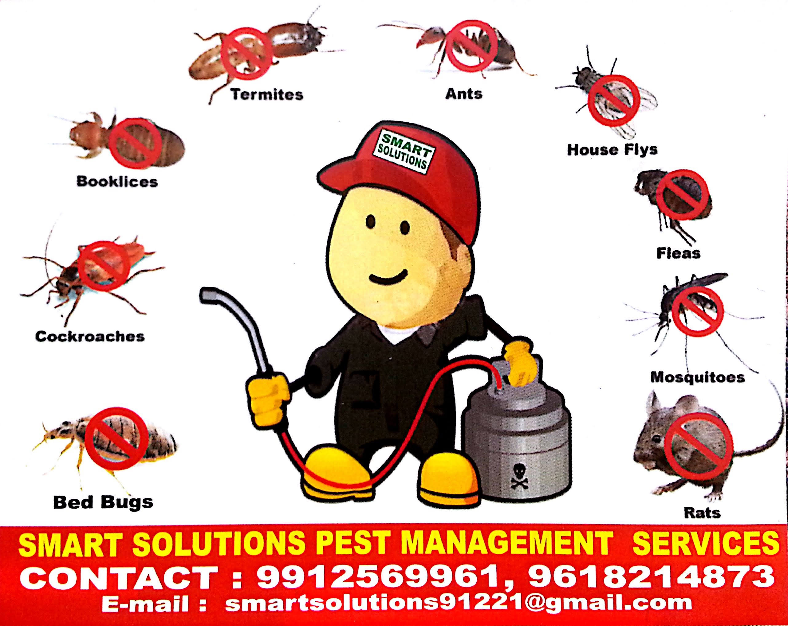 Termite Cockroach Wood Borer Bed Bugs Ant's Rodents etc... product image