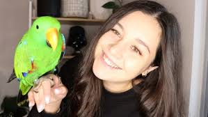 The ADORABLE Sierra Parakeet