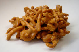 Chow Mein Cookies Chow Mein Noodle Cookies Recipes Chow Mein Noodles