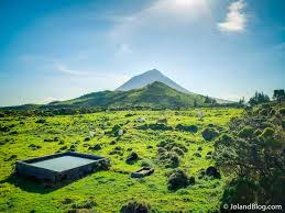 Se está a pensar viajar nas ilhas do triângulo dos açores, pico, são jorge e faial, veja este nosso artigo com tudo explicadinho. 15 Awesome Things To Do In Pico Island Azores By A Portuguese
