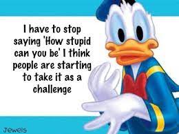 Let these funny buddha quotes lighten up your life. Funny Quotes About Stupid People Quotesgram