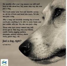 A Nice Quote To Send To Someone Who Is Grieving The Loss Of Their Dog Dog Poems Dogs Pet Remembrance