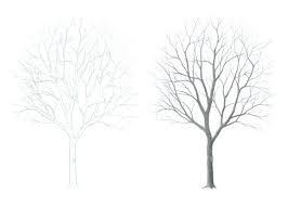 Anyone can create great looking drawings! Easy Drawing Tutorials For Beginner Intermediate Artists