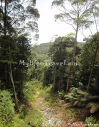 We did not find results for: Gunung Jerai çˆ¬å±±è®°