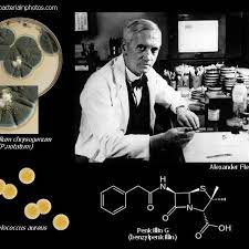 Sir Alexander Fleming Was Born On August 6th Today 1881 His Best Known Discoveries Are The Enzyme Lysozyme In 1 Penicillin Alexander Fleming Writing Groups