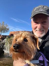Yorkie's smile at the park