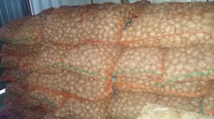 Cauți un apartament în brasov? Vand Cartofi Albi De Samanta Certificati Soi Autohton