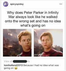 Infinity War Memes Spoilers Marvel Amino
