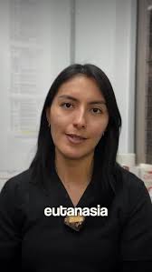 🐾 Todo lo que necesitas saber sobre la eutanasia: las preguntas que todos  nos hacemos pero pocos se atreven a hacer 💔, Una decisión difícil que  requiere información clara y apoyo emocional 🤗, ...