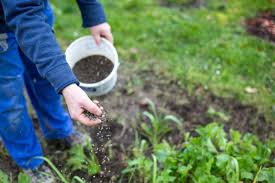 Using houseplant fertilizer is essential to growing happy, healthy houseplants. One Step Closer To A Dream Of Breeding A Self Fertilizing Plant Modern Farmer