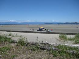 beach at low tide picture of rathtrevor beach provincial