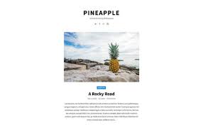 100% safe and virus free. Pineapple Free Photography Blog Wordpress Theme Wpexplorer