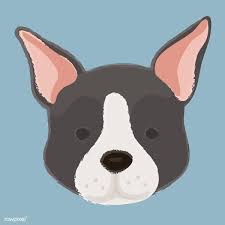 Questi esemplari, maschietti, hanno già effettuato vaccinazioni, controllo sanitario e iscrizione boston terrier, femminucce, fenotipo con caratteristiche perfettamente aderenti agli esemplari più puri della razza. Free Image By Rawpixel Com In 2020 Boston Terrier Dog Cute Animals Dog Crafts