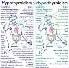Hypothyrodism And Hyperthyroidism At A Glance You Can Find More Details By Visiting The Image Link Thyroid Disorders Hyperthyroidism Nurse