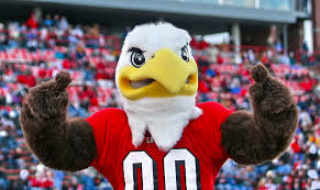 Image result for roos field mascot swoop