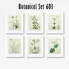 Printable Free Black And White Botanical Prints This Item Is Unavailable Botanical Prints Botanical Wall Art Botanical Print Set