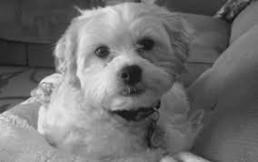 HOME • Albright Creative, LLC