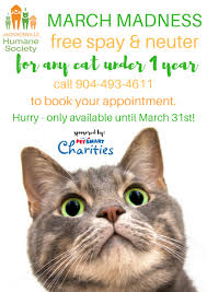Jacksonville Humane Society Free Spay And Neuter For Cats Kittens