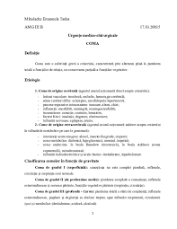 Doc Coma Mihalache Emanuela Tadea Academia Edu