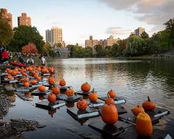 New York City Pumpkin Festival的圖片