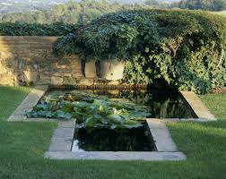 It sinks to the bottom to 'hibernate' during winter (right). Great Plants For Small Backyard Ponds