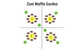 From a good garden with healthy soil and moderate skill level of gardener, you can expect the following harvest from a 100 square feet three sisters garden The Three Sisters Planting Corn Beans And Squash Together