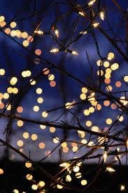 Check spelling or type a new query. 22 Aesthetic Wallpaper Christmas On Wallpapersafari