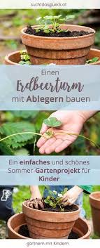 Gartenprojekt Fur Kinder Einen Erdbeerturm Bauen Mit Eigenen Ablegern Fraulein Im Gluck Erdbeerturm Gartenprojekte Kinder Garten