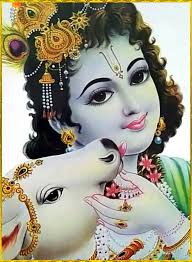 Raja Ranganathan (rajaranganathan1984)