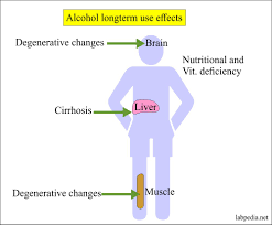 Alcohol Content In Blood Breath Saliva And Urine Ethyl