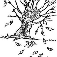 One windy day comes along and all the leaves are blown off autumn birch tree with falling leaves background. Dogwoods Tree Autumn Leaf Coloring Page Download Print Online Coloring Pages For Free Color Nimbus