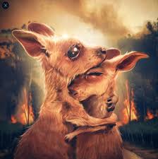 32 Artists From All Over The World Pay Respect To The Australian Bushfires With Beautiful Art Australia Animals Animals Art