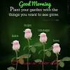 Finding ideal good morning text messages for her that match the mood from a miserable day to a fantastic day can be difficult. 1