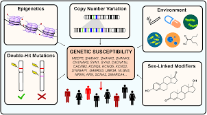 49 photos that show what autism looks like. Genetic Causes And Modifiers Of Autism Spectrum Disorder Semantic Scholar