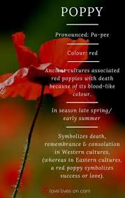 Maybe you would like to learn more about one of these? 19 Trendy Flowers Arrangements Tattoo Beautiful Tattoo Flowers Flower Meanings Funeral Flowers Poppies