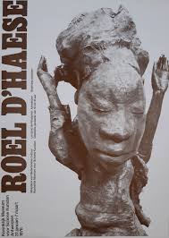 Bildergebnis für Roel D'Haese